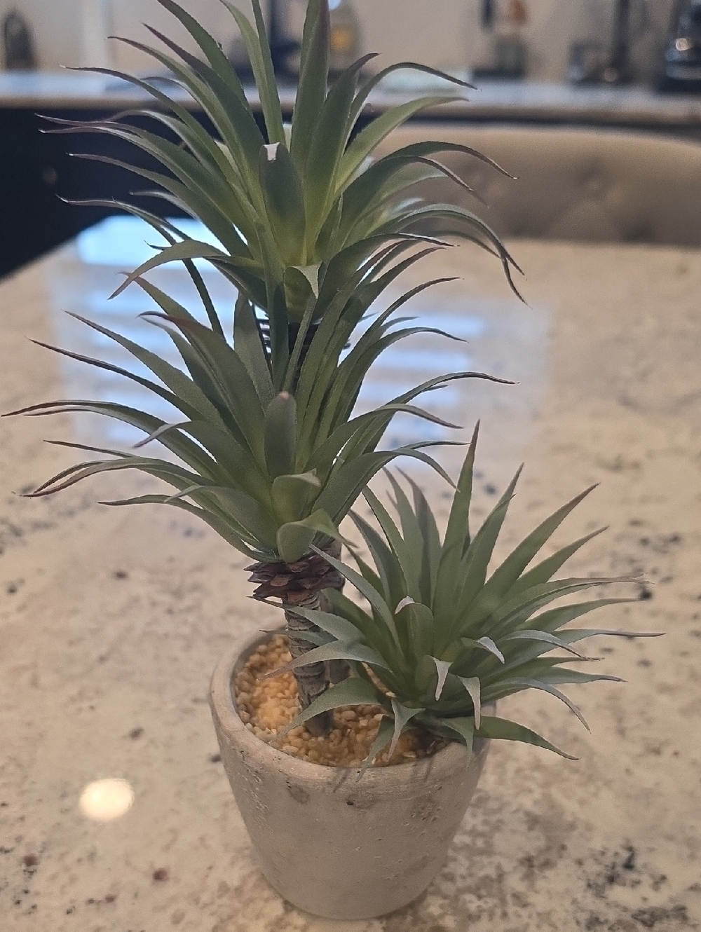 Modern Green Faux Succulent Duo in Gray Cement Pot